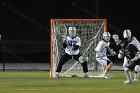 MLax vs Anna Maria  Men’s Lacrosse season opener vs Anna Maria College. : MLax, lacrosse